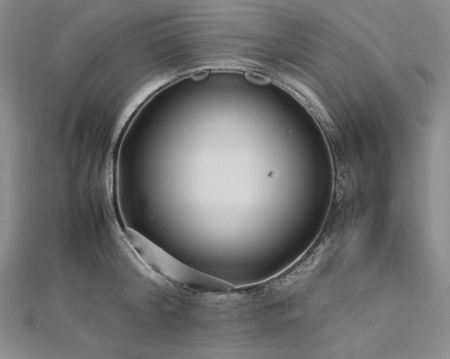 X0000113010804200908271407