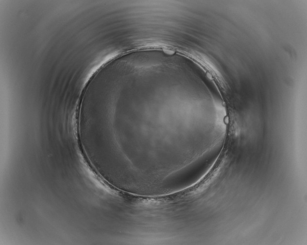 X0000113010806200908271407