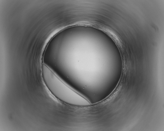 X0000113010808200908271407