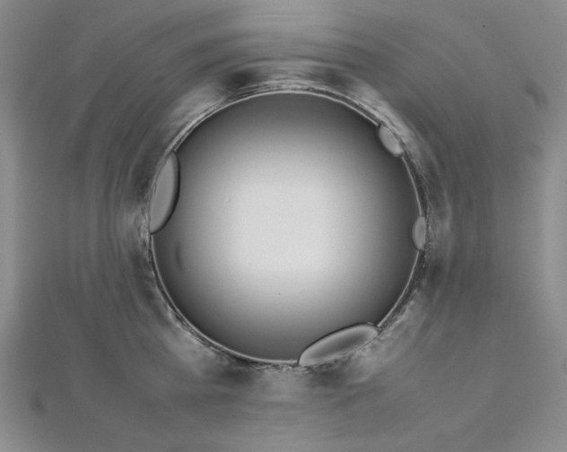 X0000113010809200908271407