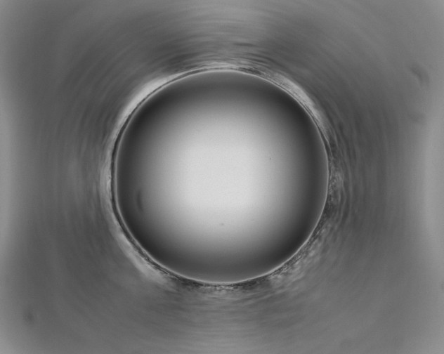 X0000113010811200908271407