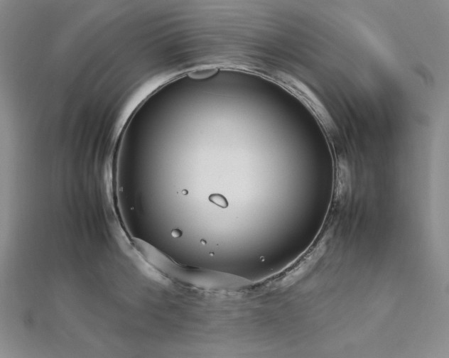 X0000113010812200908271407