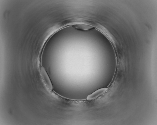 X0000113010813200908271407