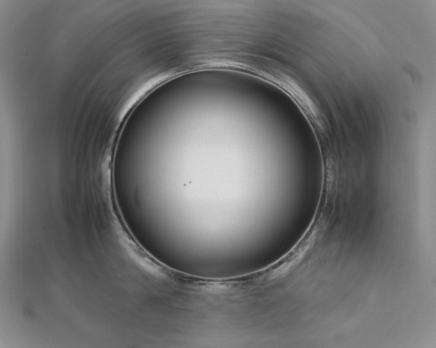 X0000113010814200908271407