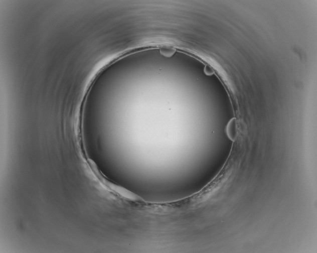 X0000113010815200908271407