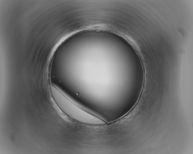 X0000113010816200908271407