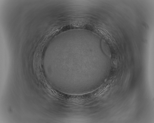 X0000113010817200908271407