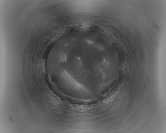 X0000113010818200908271407