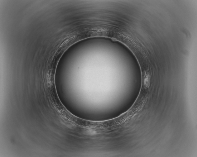 X0000113010819200908271407