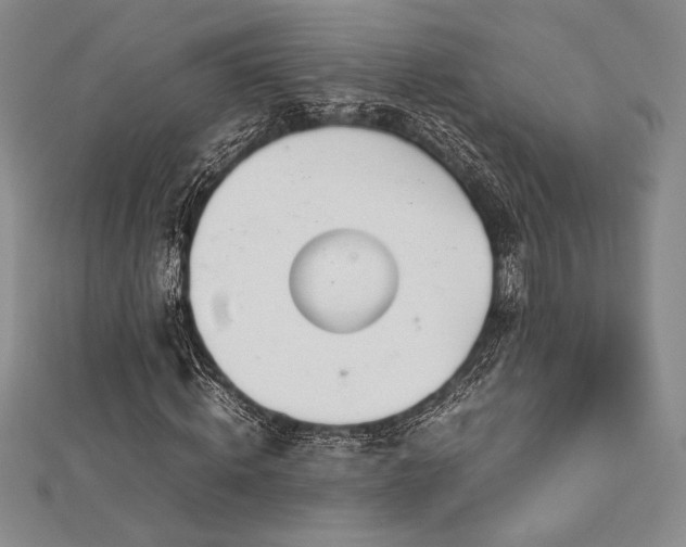 X0000113010820200908271407