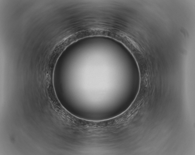 X0000113010821200908271407