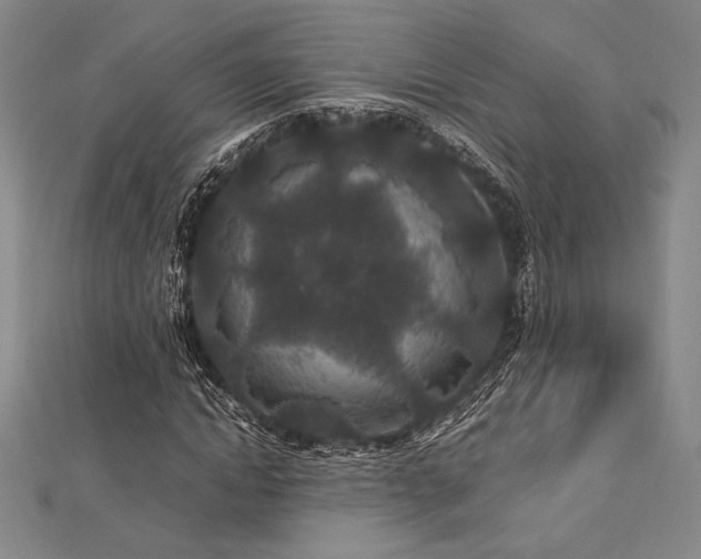 X0000113010822200908271407