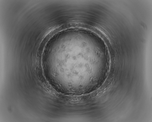 X0000113010823200908271407