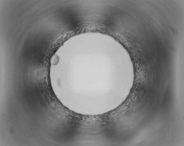 X0000113010824200908271407