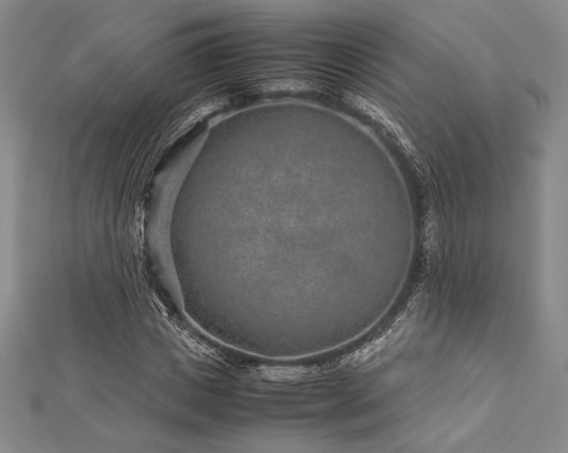 X0000113010825200908271407