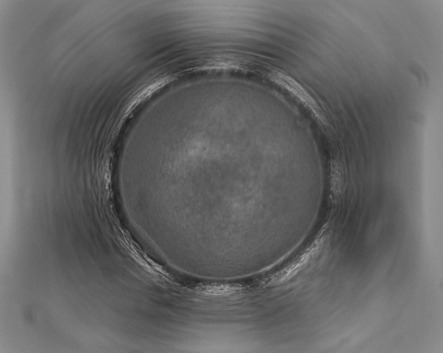 X0000113010826200908271407