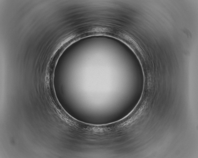 X0000113010827200908271407