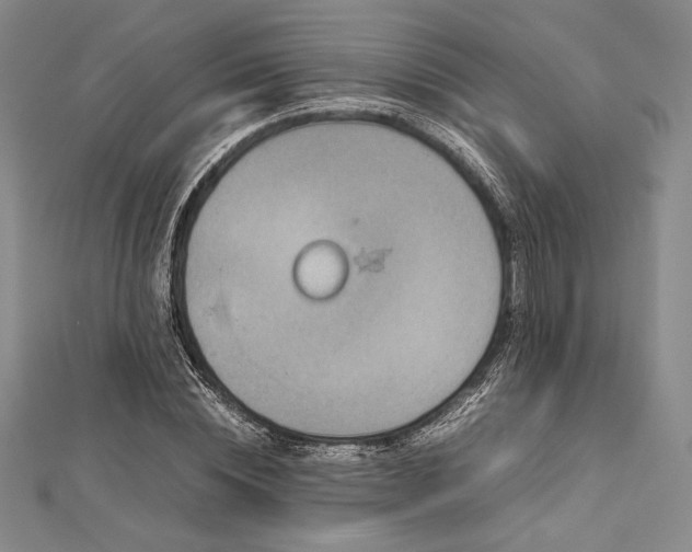 X0000113010828200908271407