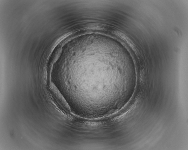 X0000113010829200908271407