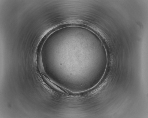 X0000113010830200908271407