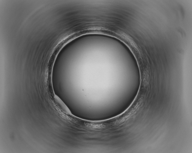 X0000113010831200908271407