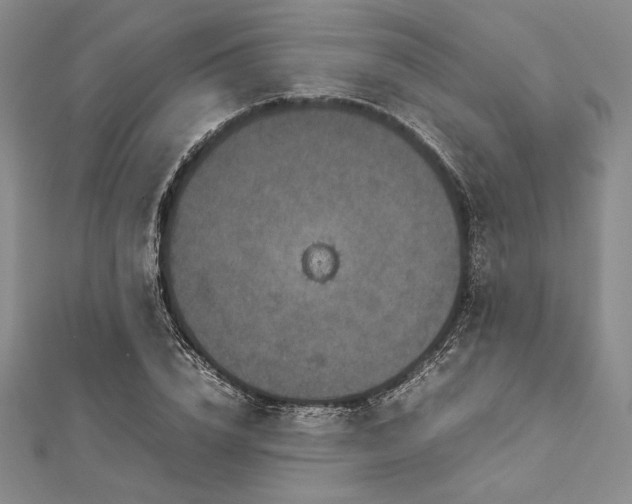 X0000113010832200908271407