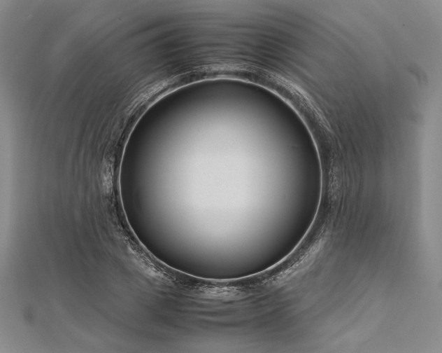 X0000113010833200908271407