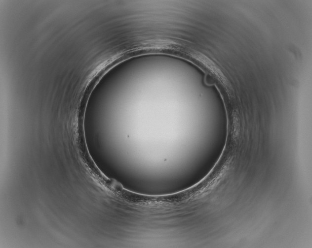 X0000113010834200908271407