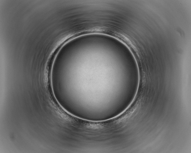 X0000113010835200908271407