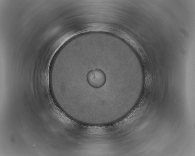 X0000113010836200908271407