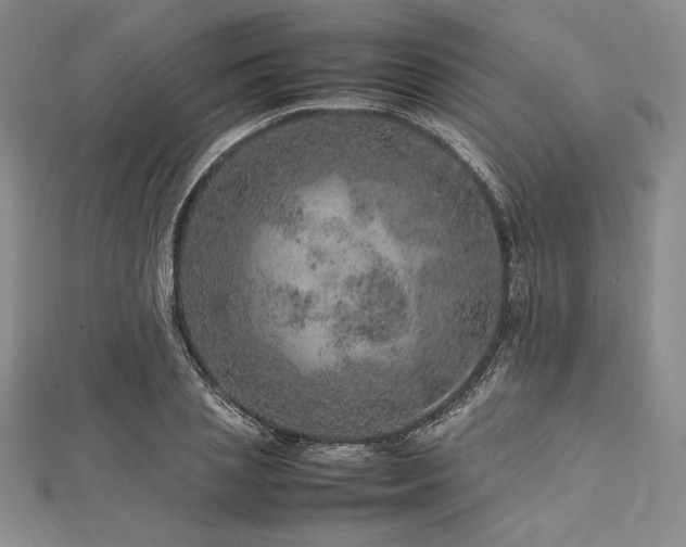 X0000113010837200908271407