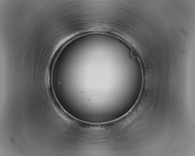 X0000113010838200908271407