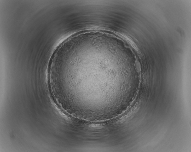 X0000113010839200908271407