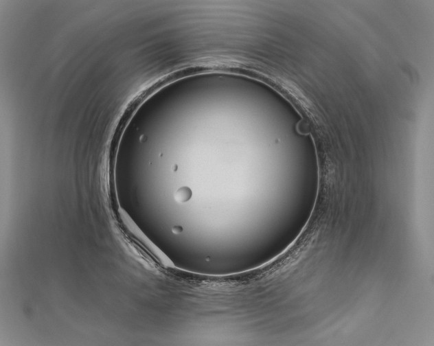 X0000113010840200908271407