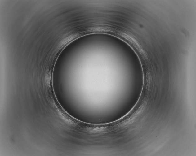 X0000113010841200908271407