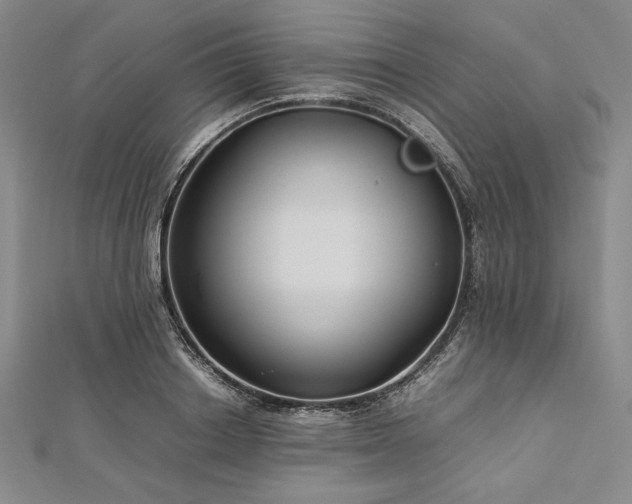 X0000113010842200908271407