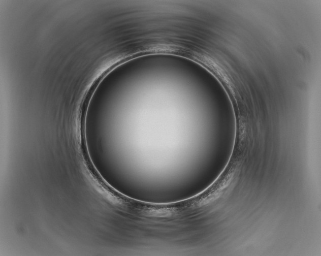 X0000113010843200908271407