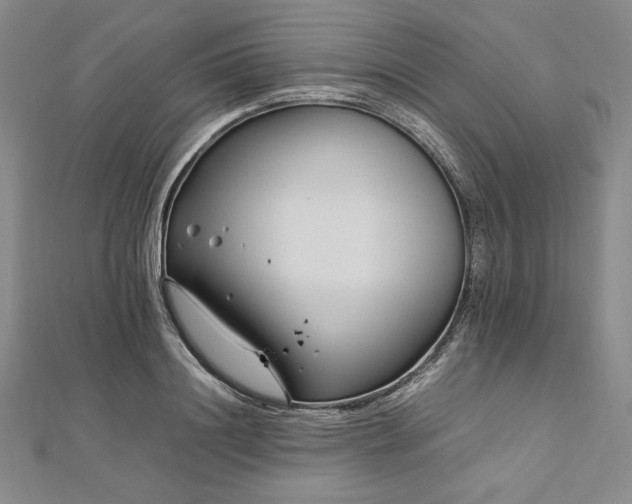 X0000113010844200908271407