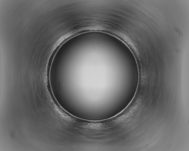 X0000113010845200908271407