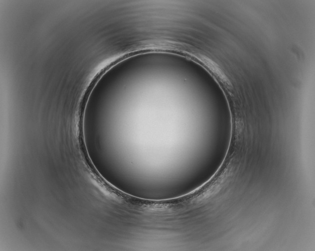 X0000113010846200908271407