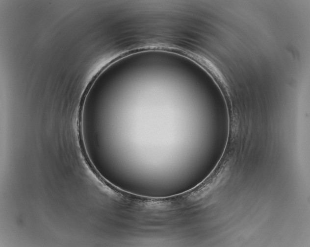 X0000113010847200908271407