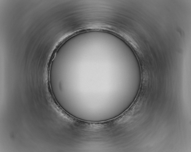 X0000113010848200908271407