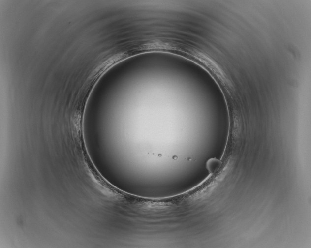 X0000113010849200908271407