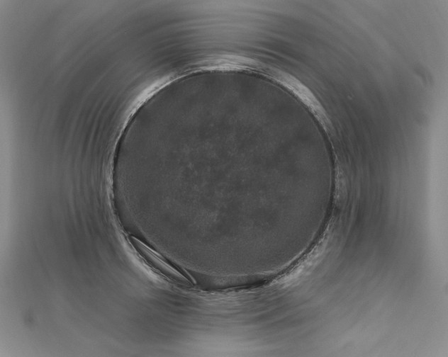 X0000113010850200908271407