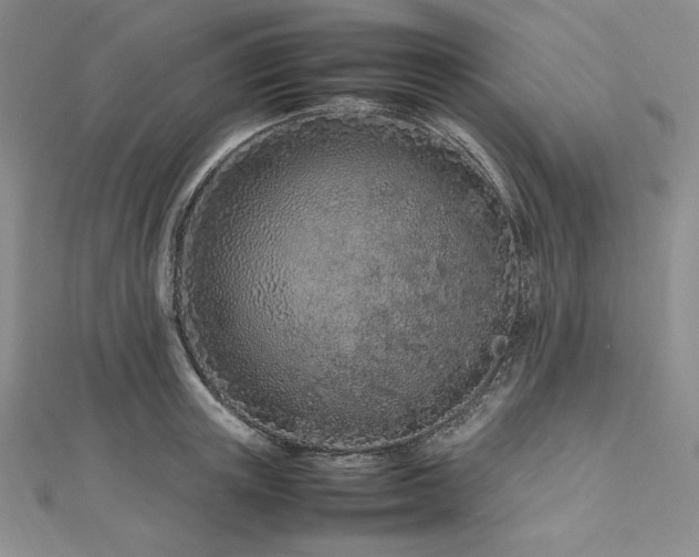 X0000113010851200908271407