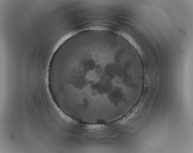 X0000113010853200908271407