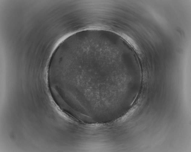 X0000113010854200908271407