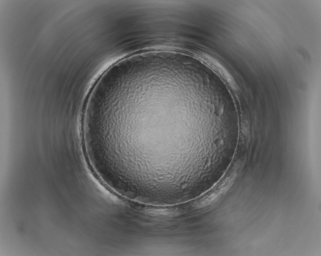 X0000113010855200908271407