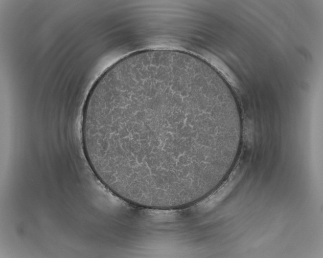 X0000113010856200908271407