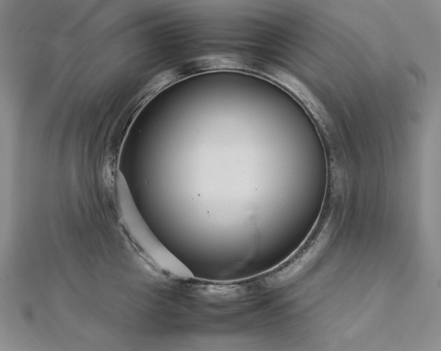 X0000113010857200908271407